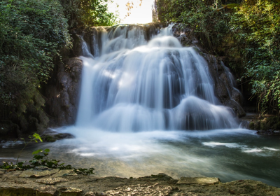 Rio de vida